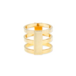 a.v. max Caged Ring in Gold